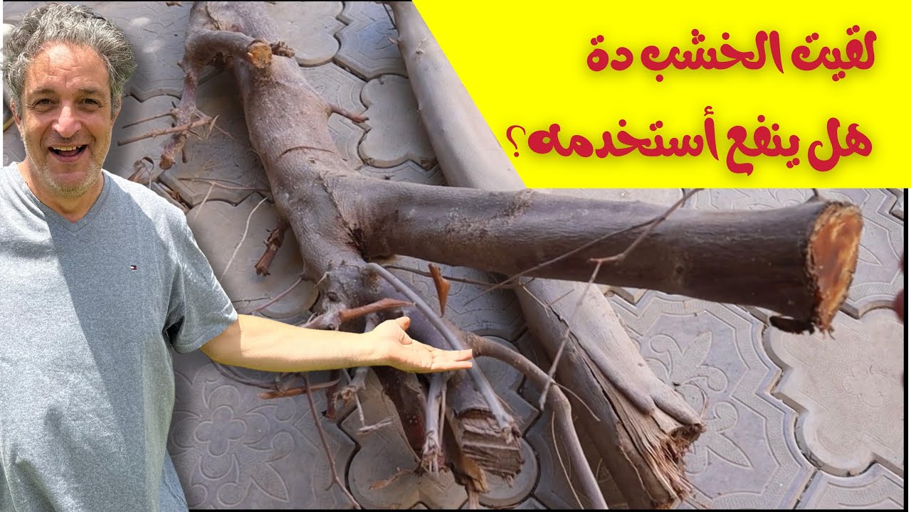 لقيت خشب في الشارع٫ ينفع أستخدمه؟