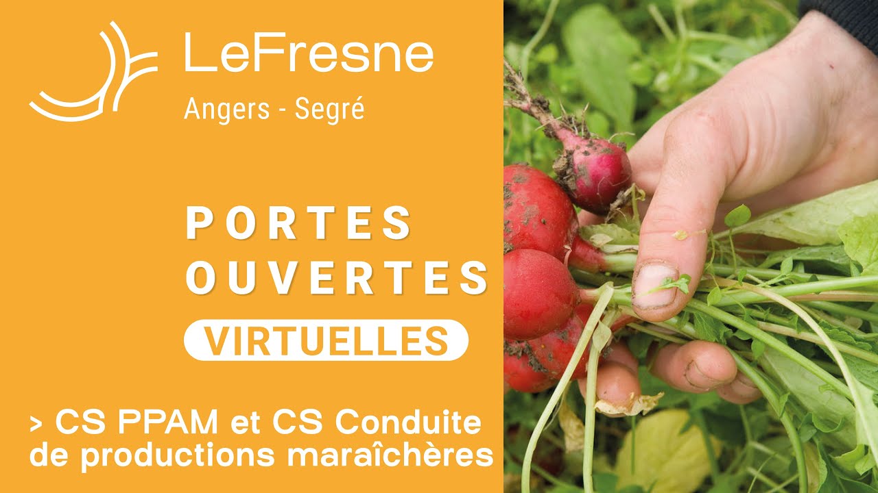 JPO Virtuelles - Présentation du CS PPAM et du CS Conduit de Productions Maraîchères au Fresne
