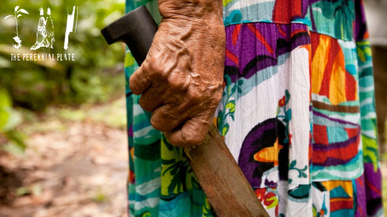An Act of Resistance | The Perennial Plate's Real Food World Tour
