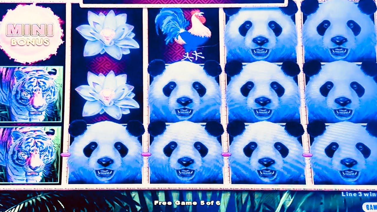 THREE DRAGON LINK MACHINES WITH NICE WINS #slotman #casino #dragonlink 