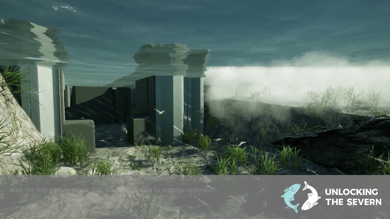 Lincomb Fish Pass Animation