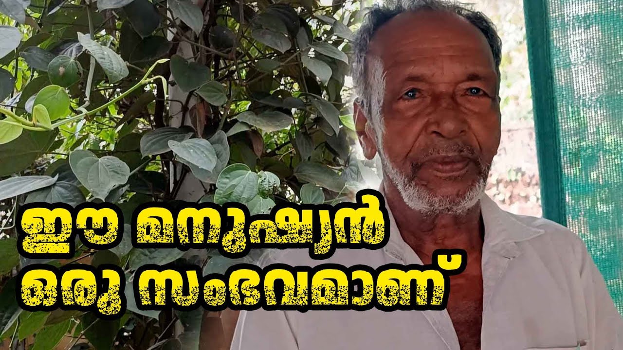 അവറാന്ക്കൻറെ കണ്ടുപിടുത്തങ്ങൾ I MAYILPEELI SPRINGLER I AVARAN ATHAVANAD