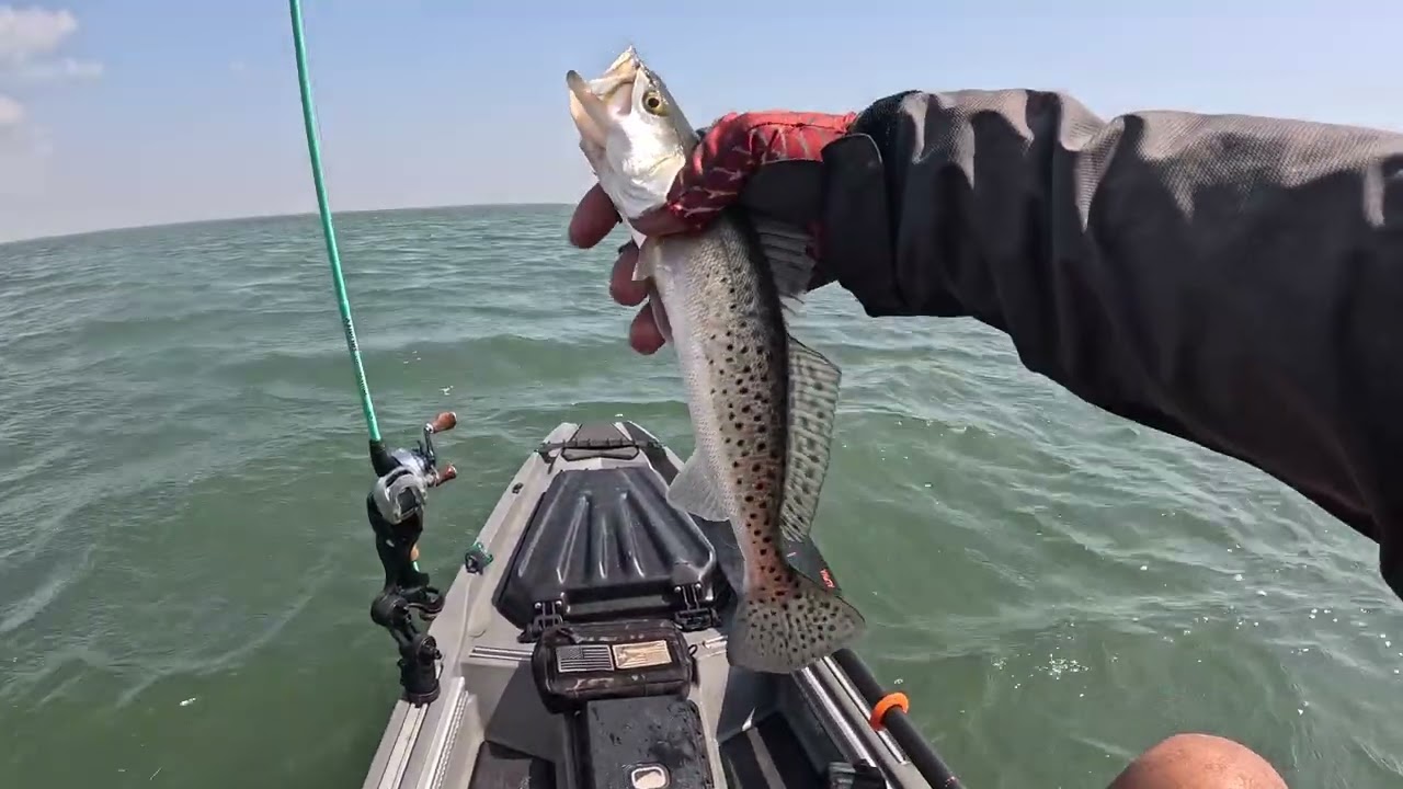 IT WAS A FUN DAY🎣#redfish #kayakfishingtips #waterloo #fish 