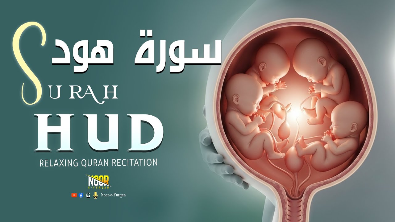 Surah Al- Hood | Pregnancy Quran Recitation For Mother | Listen daily | Noor-e-Furqan