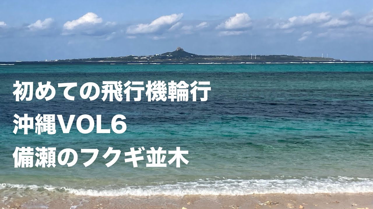 初めての飛行機輪行　沖縄vol6 備瀬のフクギ並木