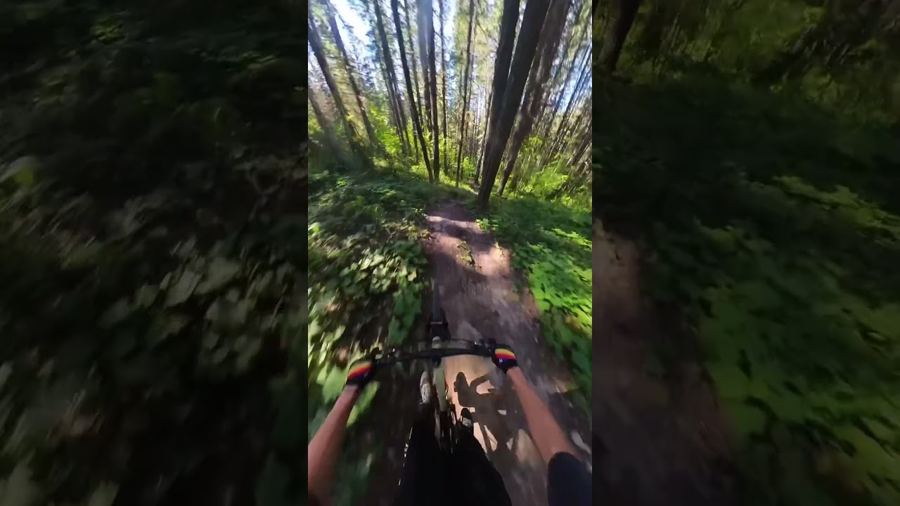 Winter and summer at its finest #dhmtb #mtbd #mtb #mtbdh #mountainbiking #insta360 #downhill #mtbmb