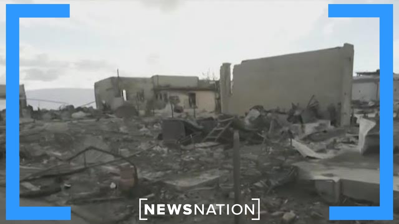 Developers trying to buy wildfire-ravaged land in Maui | Elizabeth Vargas Reports