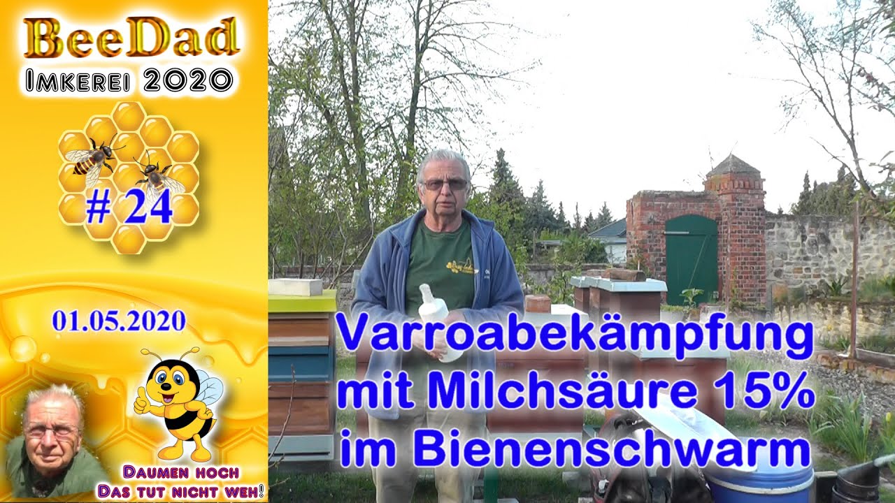 Varroabehandlung eines Bienenschwarms mit Milchsäure 15% Imkerei und Bienen 2020 #24