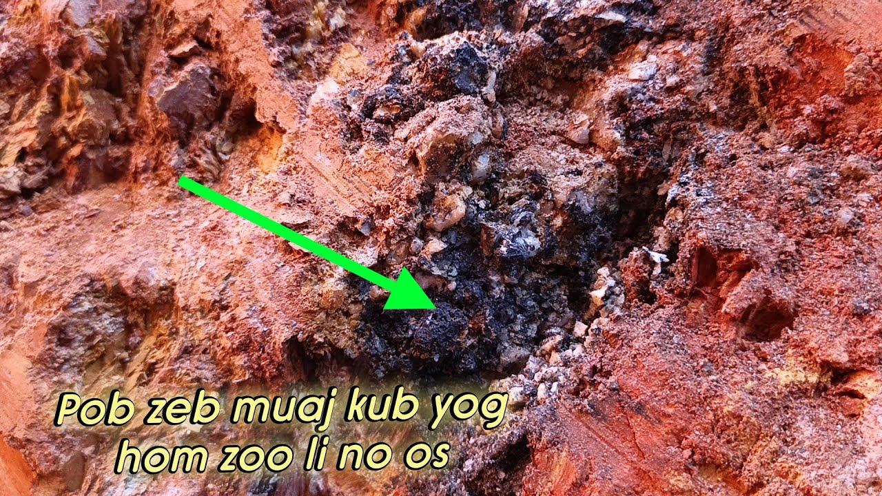 7-2- 2026 coj nej mus saib pob zeb kub Dua os