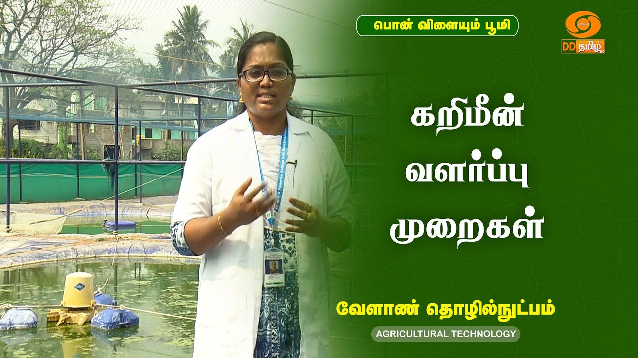 கறிமீன் வளர்ப்பு முறைகள் | Pearl Spot Culture | Agricultural Technology