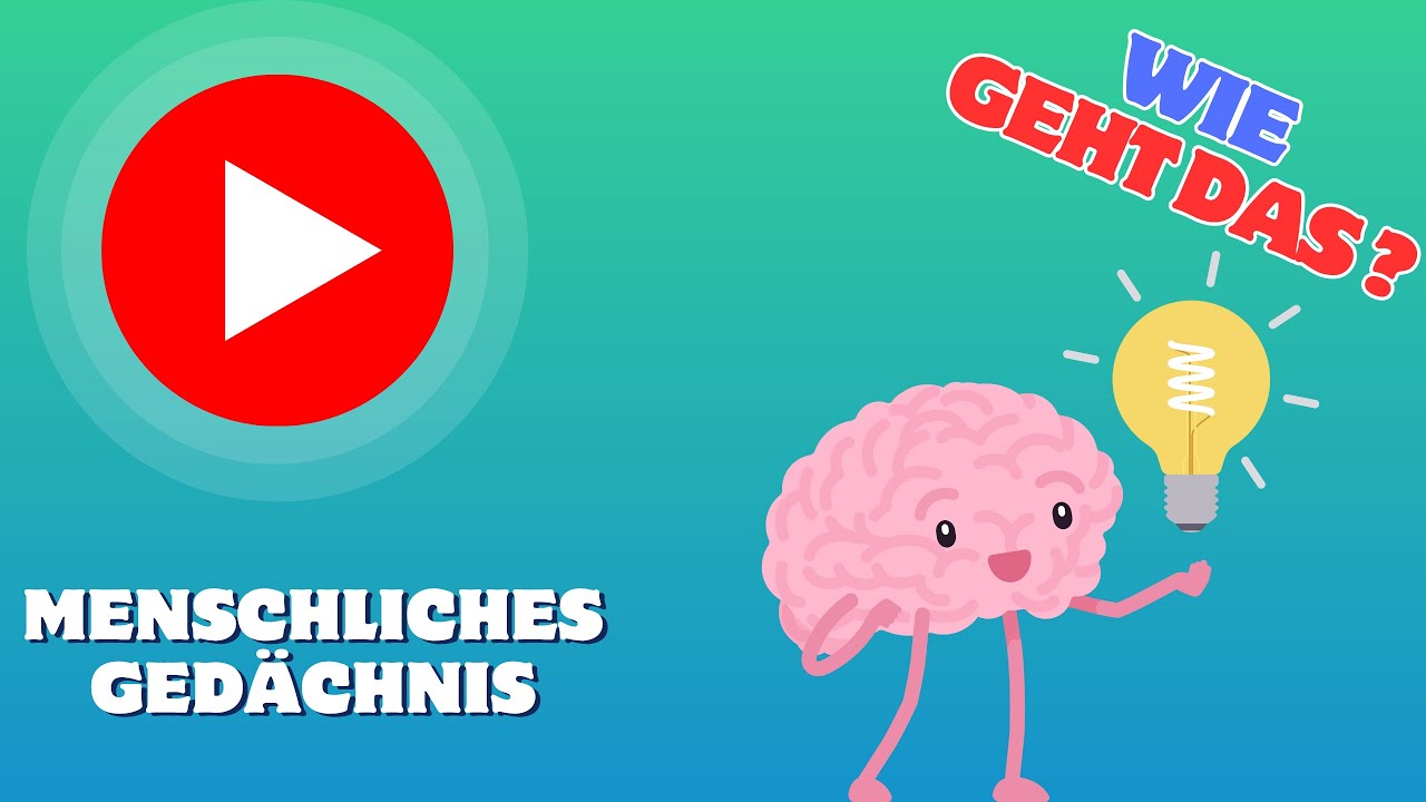 Wie funktioniert das GED&Auml;CHNIS