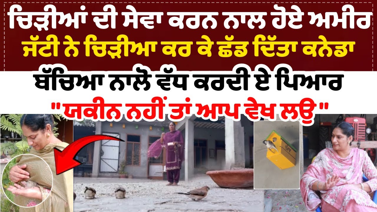 ਚਿੜੀਆਂ ਦੀ ਸੇਵਾ ਕਰਨ ਨਾਲ ਹੋਏ ਅਮੀਰ ਜੱਟੀ ਨੇ ਚਿੜੀਆ ਕਰ ਕੇ ਛੱਡ ਦਿੱਤਾ ਕਨੇਡਾ ਬੱਚਿਆ ਨਾਲੋ ਵੱਧ ਕਰਦੀ ਏ ਪਿਆਰ…