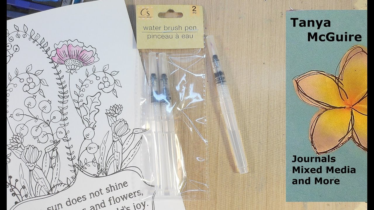 Dollar Tree Water Brush Demo and Review