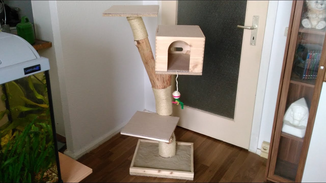 Kratzbaum selber bauen aus Naturstamm unter 30 € Bauanleitung