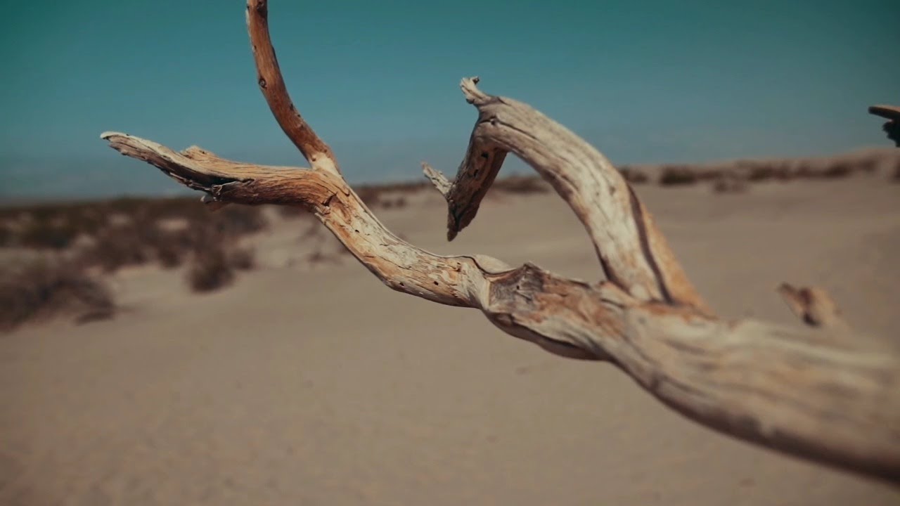 La rendición - Patricia Domínguez