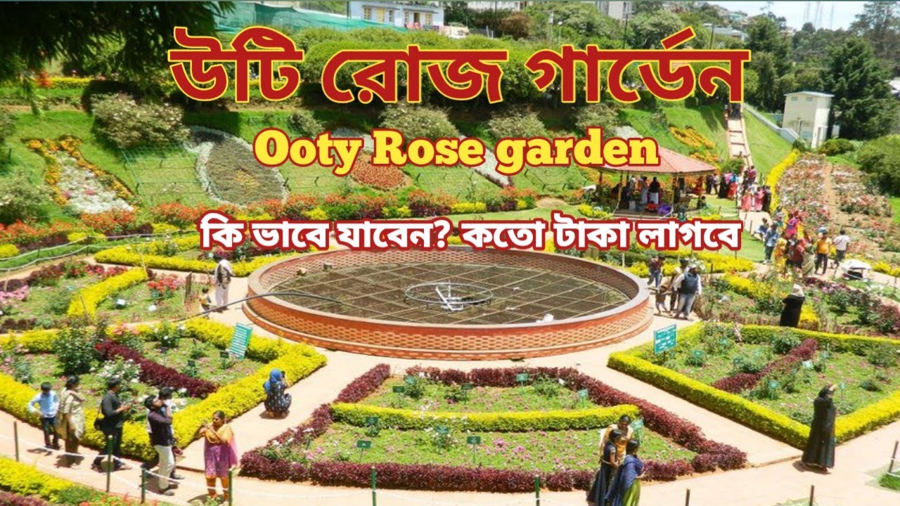 ooty Rose garden | উটি রোজ গার্ডেন | Ooty Rose garden bong 2023