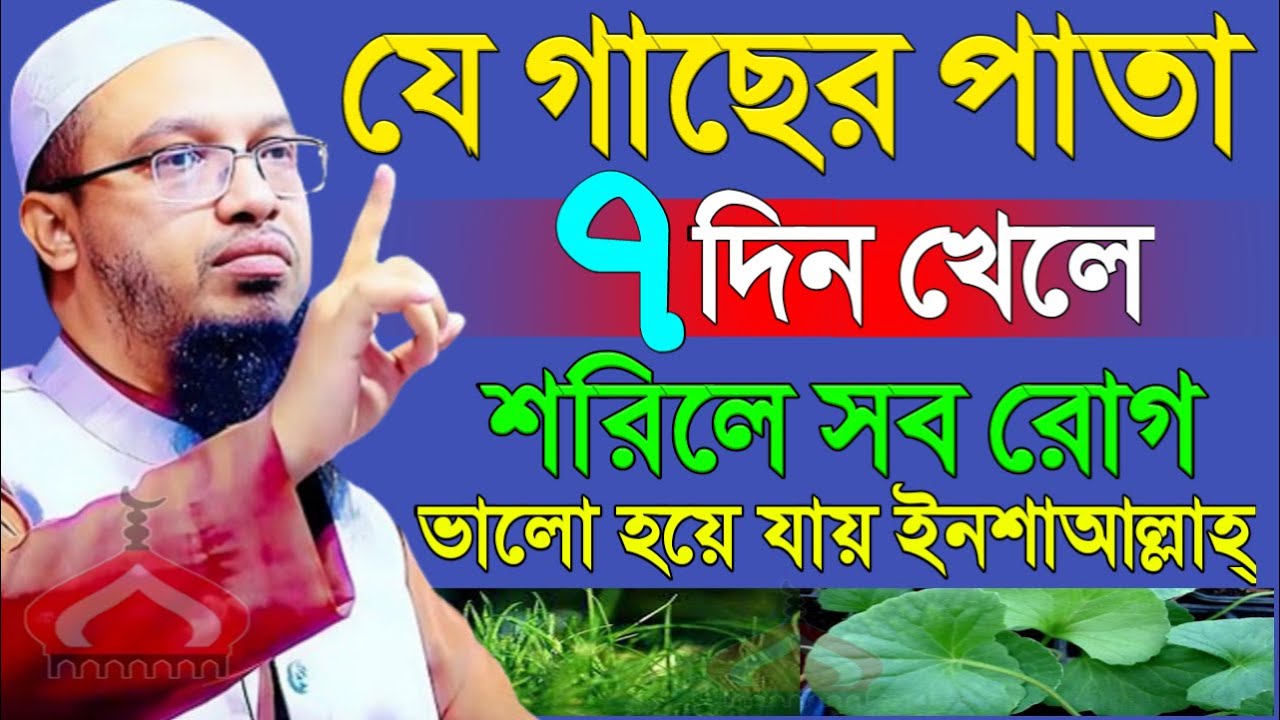 যে গাছের পাতা ৭দিন খেলে শরীলের সব রো গ ভালো হয় ! Shaikh Ahmadullah Mar 3, 2026 GH57REHTR 8:10 PM