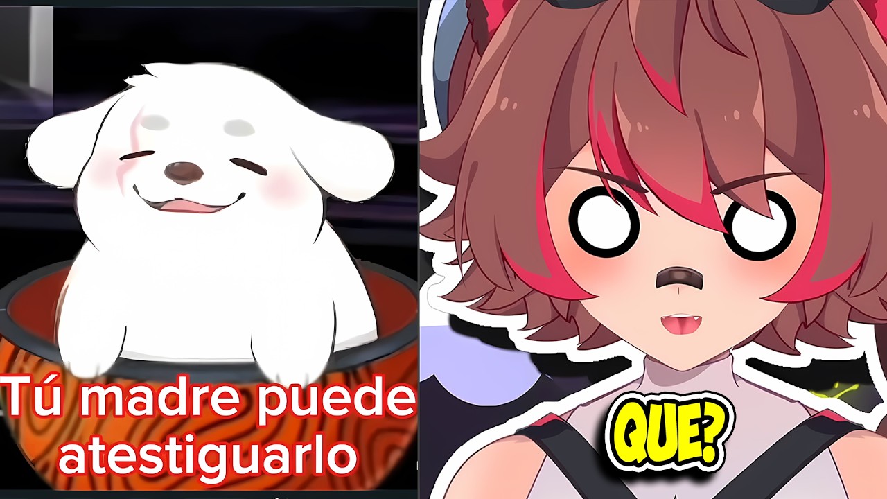 RAKKUN REACCIONA A MÁS MEMES DE REDDIT | [Rakkun]