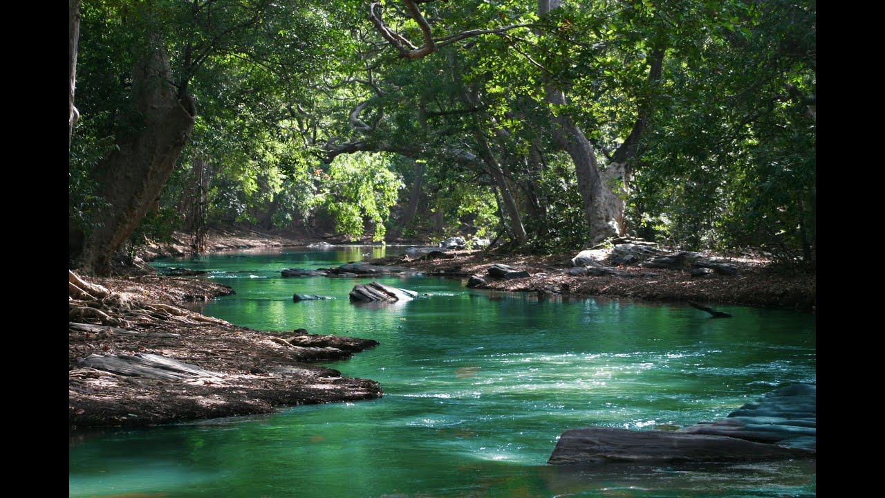 Relaxing Mountain Stream Waterfall Sounds & Distant Birds | Soothing sounds for sleeping (1h 10m)