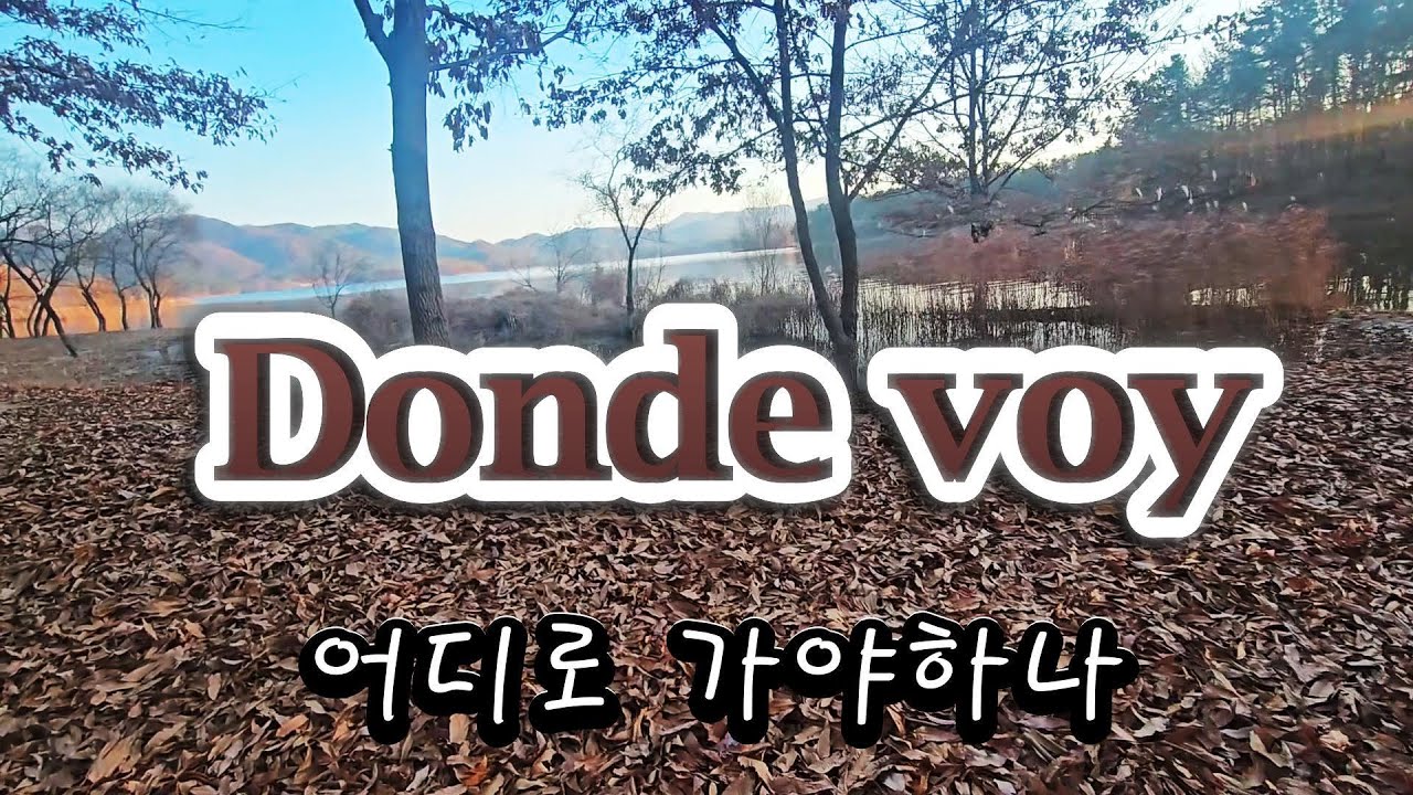 🌠 Donde voy ♡하모니카연주 !          # 티시이노호사곡, #돈데보이하모니카연주, #조영숙하모니카,#대청호명상정원,