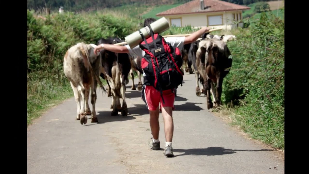 El Camino de Santiago. Español nivel B1/B2