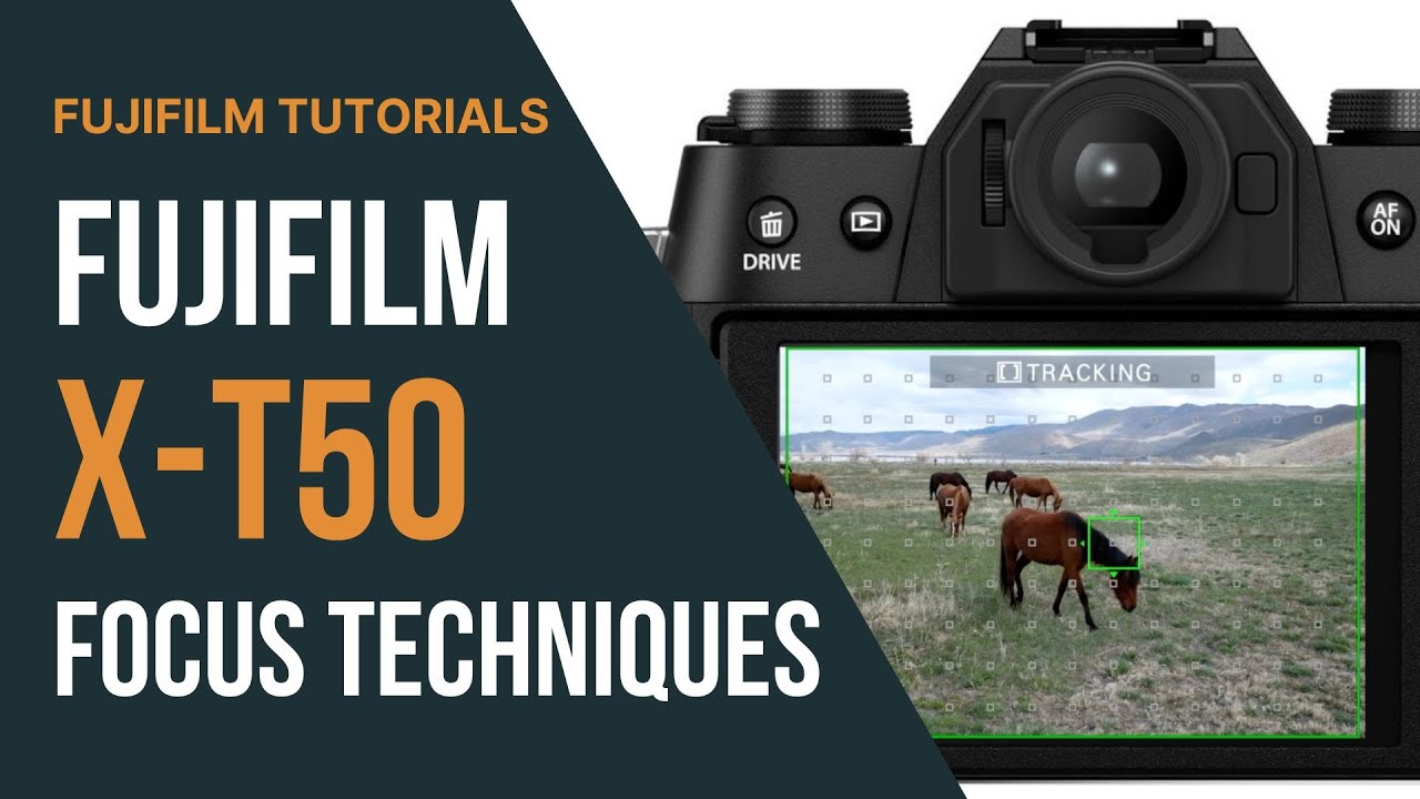 Mastering Focus on the Fujifilm X-T50 | AF Modes, Face Detection & Manual Focus Tools