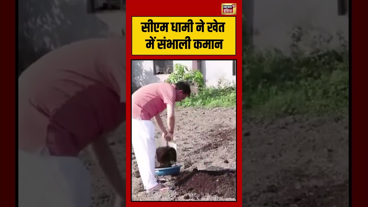 CM Dhami Viral Video: सीएम धामी ने खेत में संभाली कमान #viralnews #viralvideo #hindinews #shortvideo