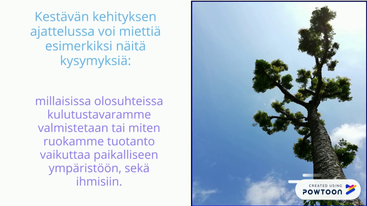 Ekososiaalinen sivistys
