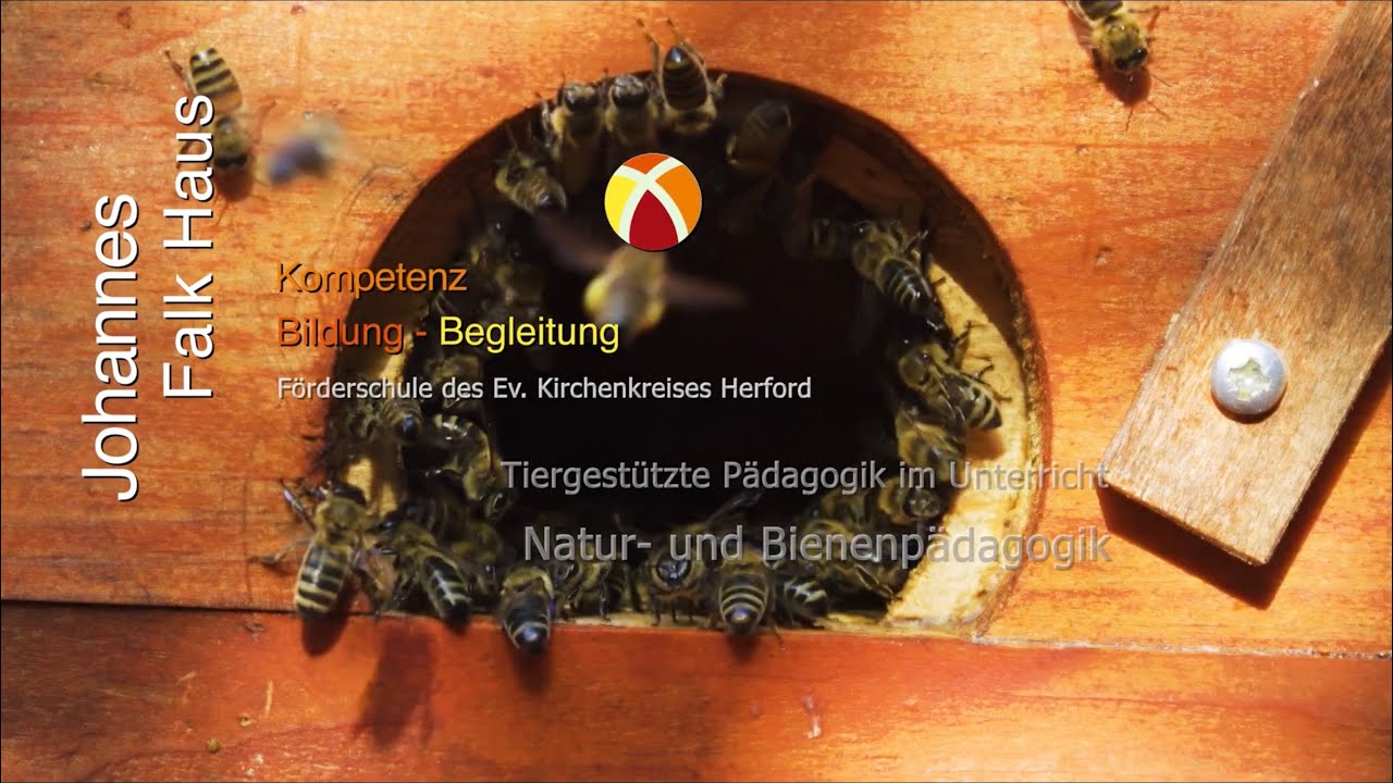 Natur  und Bienenpädagogik