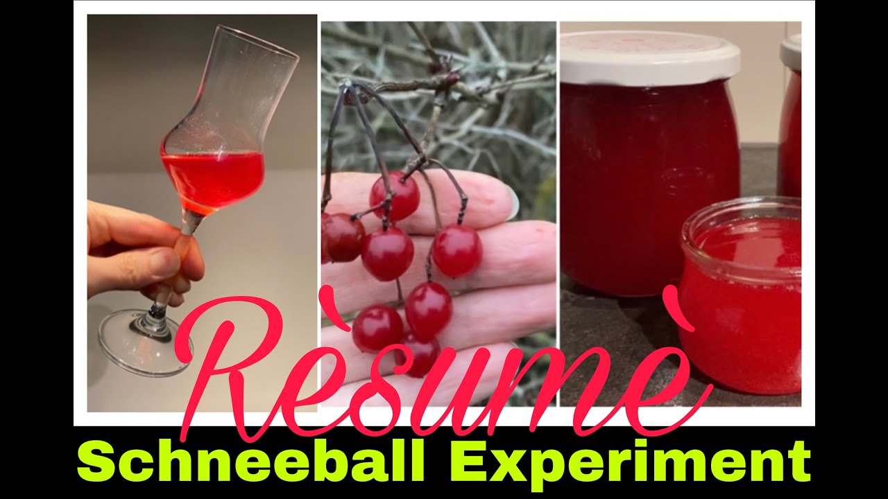 Schneeball Sirup und Lik&ouml;r Rezept - Was haben wir gelernt? | Selbstversorgung