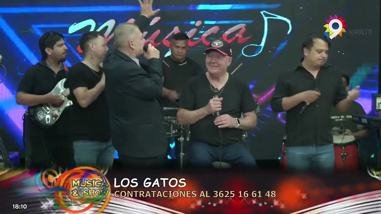 Los Gatos 08.11.25 Bloque2