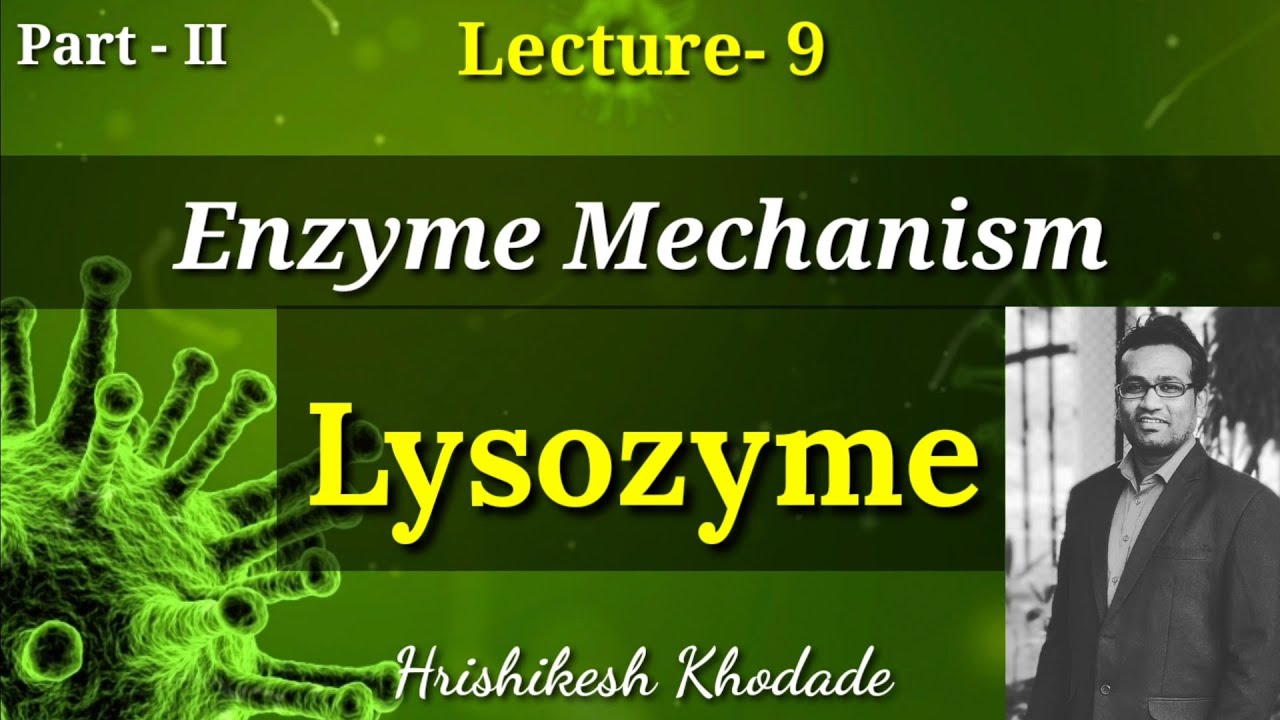 Lect-9(pII) | Lysozyme Enzyme Action | Enzyme Mechanism | General Acid Catalysis | Hydrolysis type