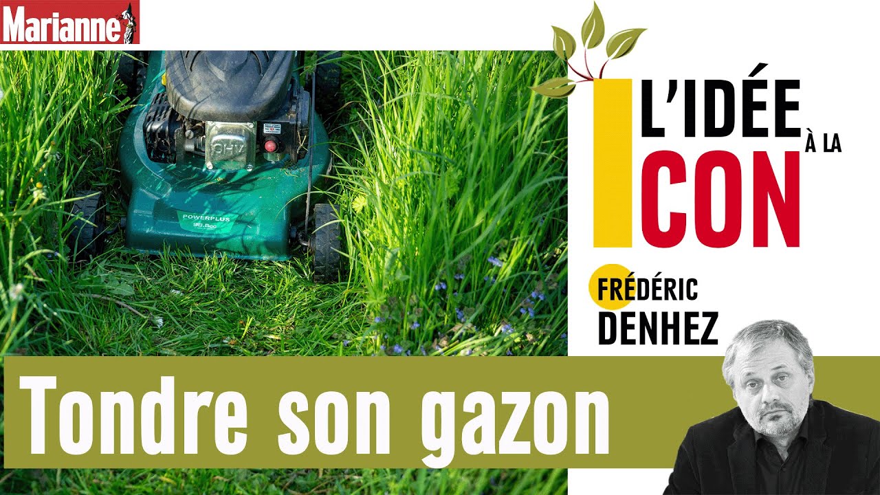 L'idée à la con : tondre son gazon