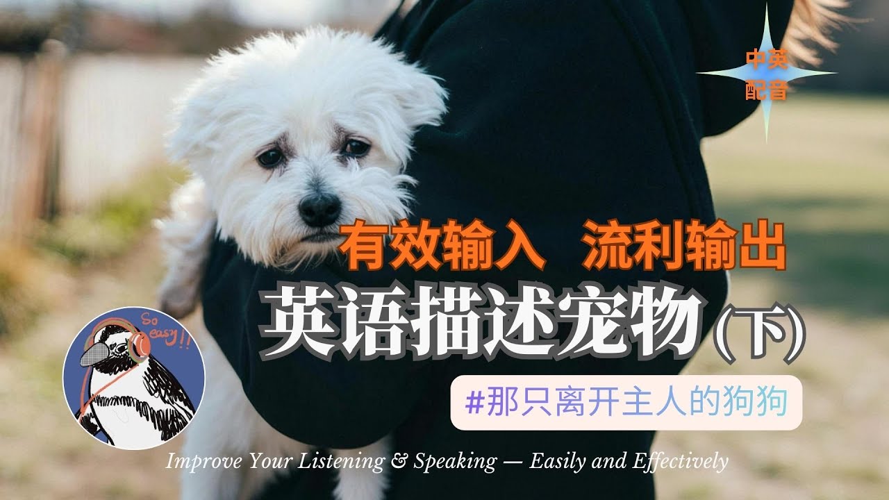 【英文練聽說】那只離開主人的狗狗｜寵物日常護理、戶外活動與情感聯結的實用英語表達｜輕鬆高效學習英語聽力與口語｜即聽即用｜每日英語聽說小劇場