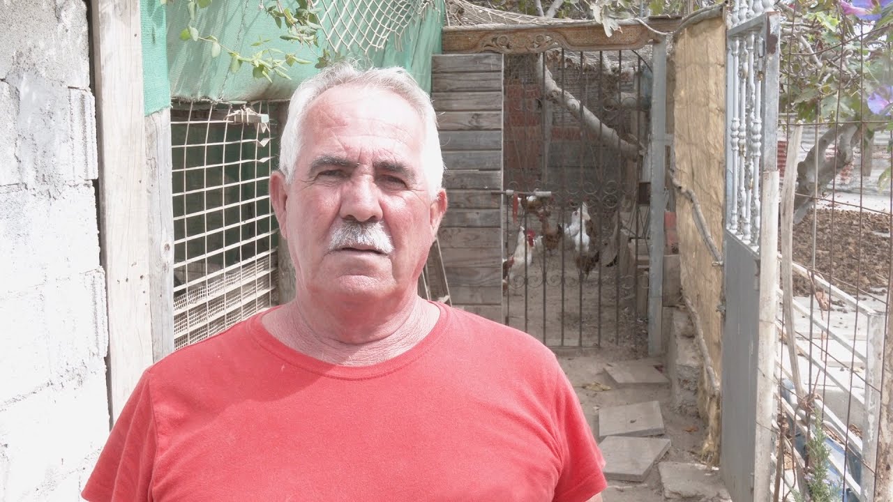 Manolo lucha por sus 26 gallinas: las quieren sacrificar