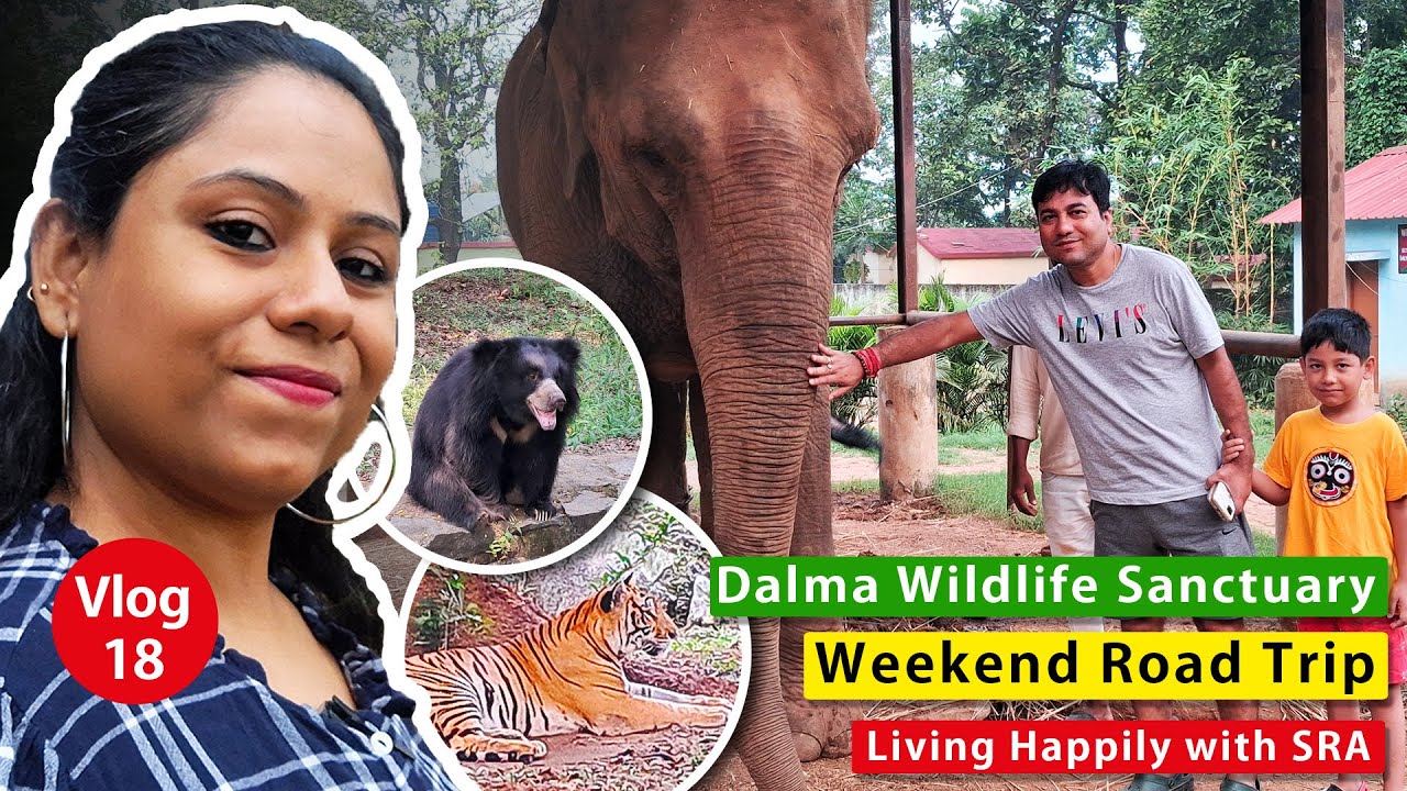 Ep 7 - Dalma Wildlife Sanctuary |Weekend tour near kolkata | Weekend Jharkhand  Trip byCar |दलमा हिल