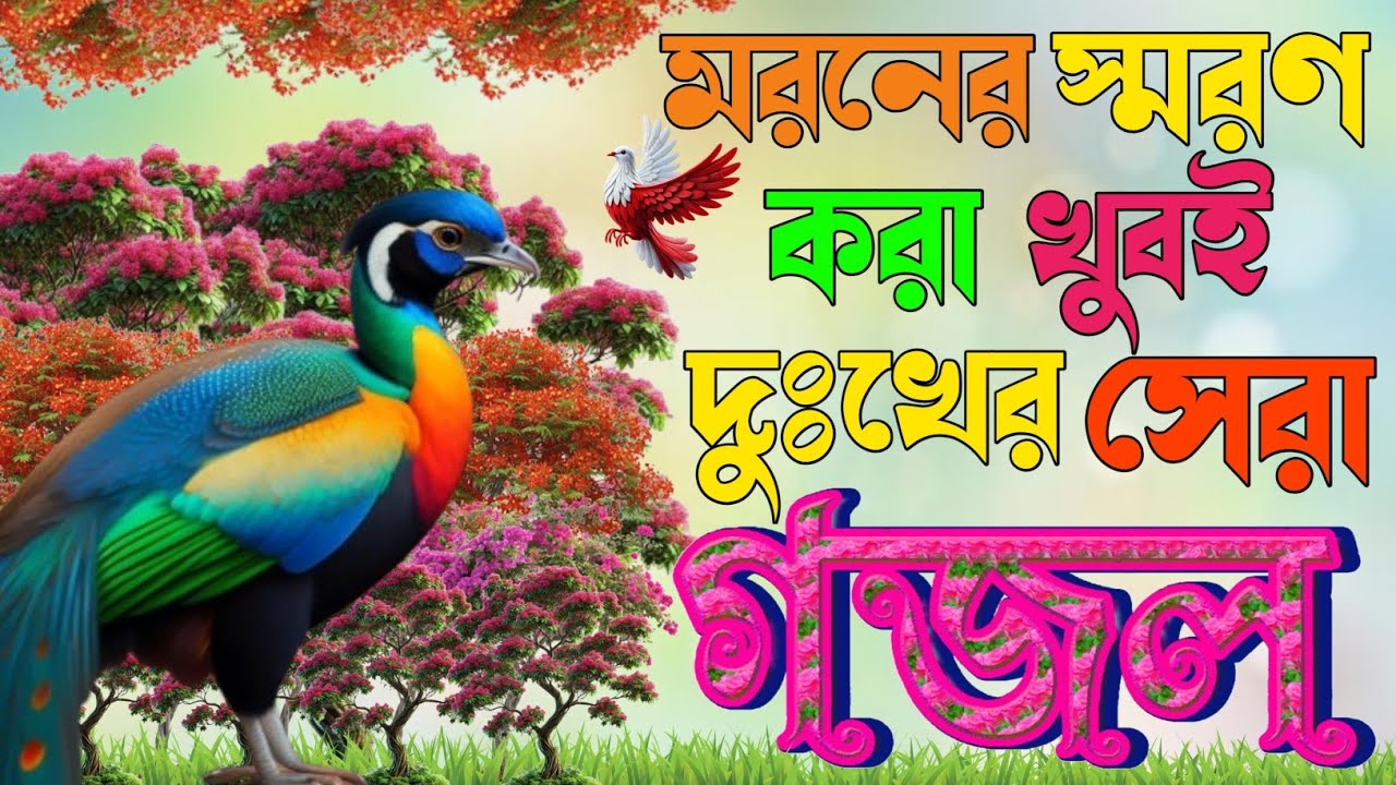 Islamic romadan gojol কবরের স্মরণ করা খুবই কষ্টের ‌ একবার শুনুন আপনার কবরের কথা স্মরণ হবে|Gojol 2026