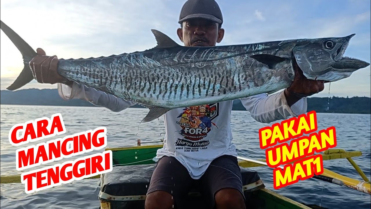 CARA MANCING IKAN TENGGIRI PAKAI UMPAN MAT1