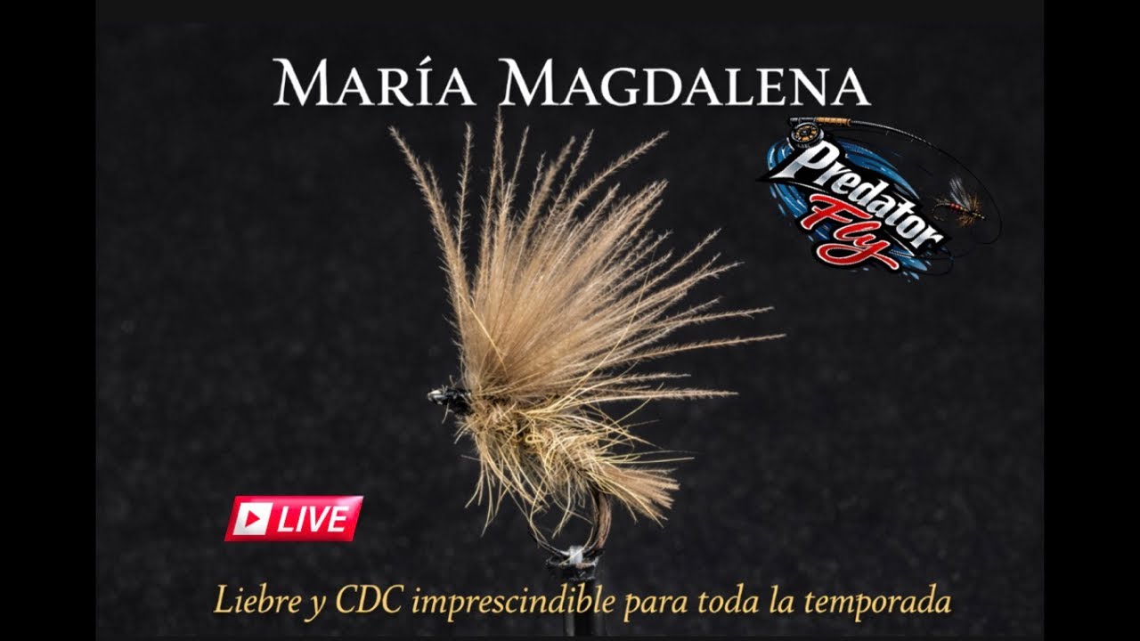 ✅ la mejor mosca de todos los tiempos para principios de temporada