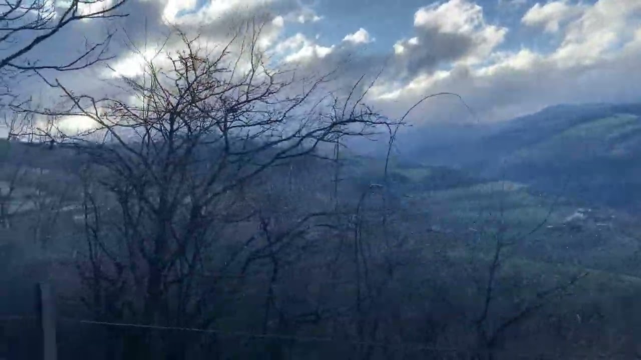 Janvier 2025 dans la voie du lièvre aux chiens courants