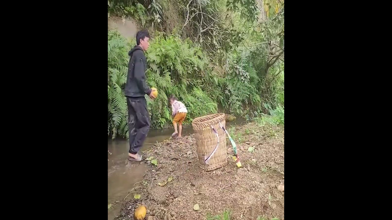 👩‍👦 Hiring a Babysitter, Father and Child Pick Pomelos to Sell, Then Buy Fish to Cook 🐟🍊