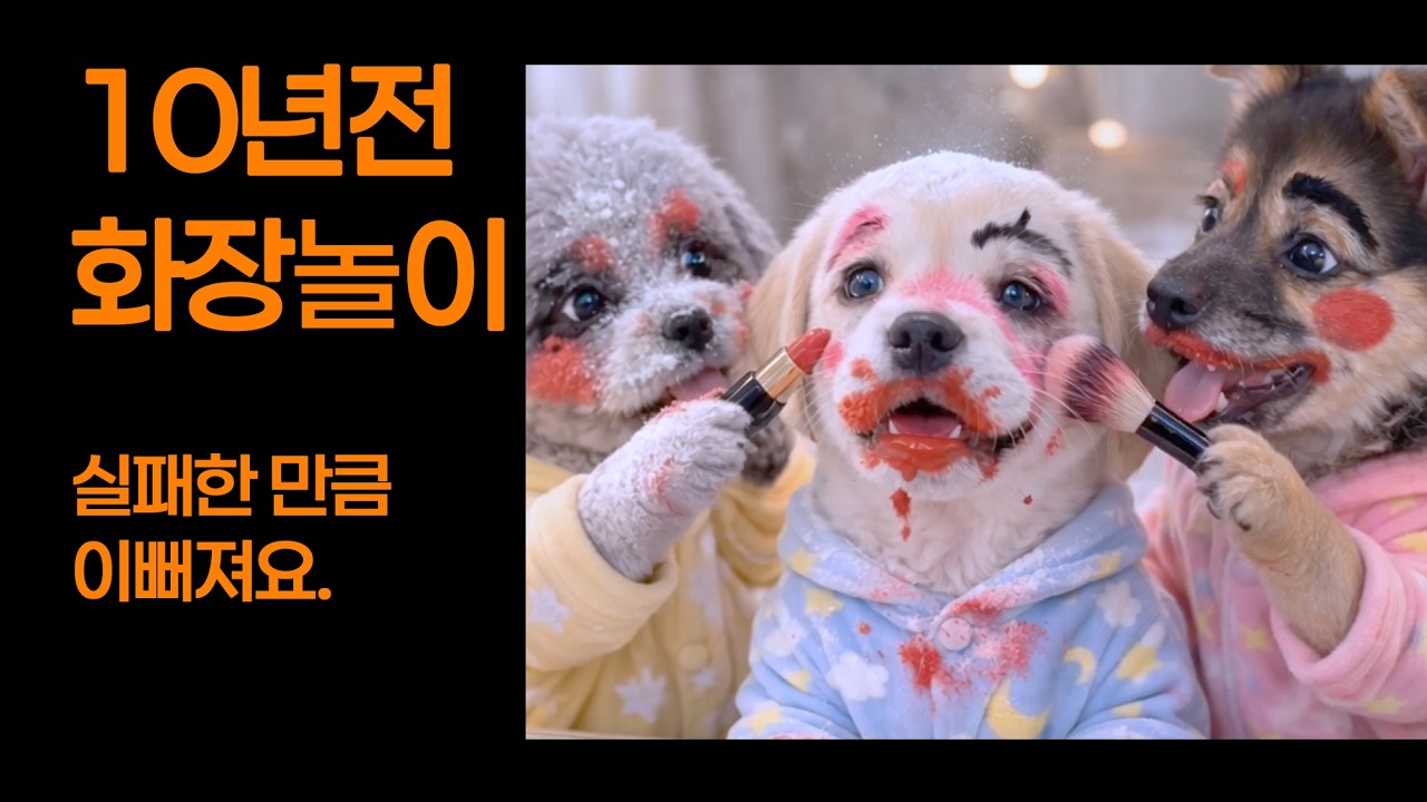 화장놀이의 기억 UHD #말티푸 #저먼셰퍼드 #골든리트리버 #중산동 #삼남매