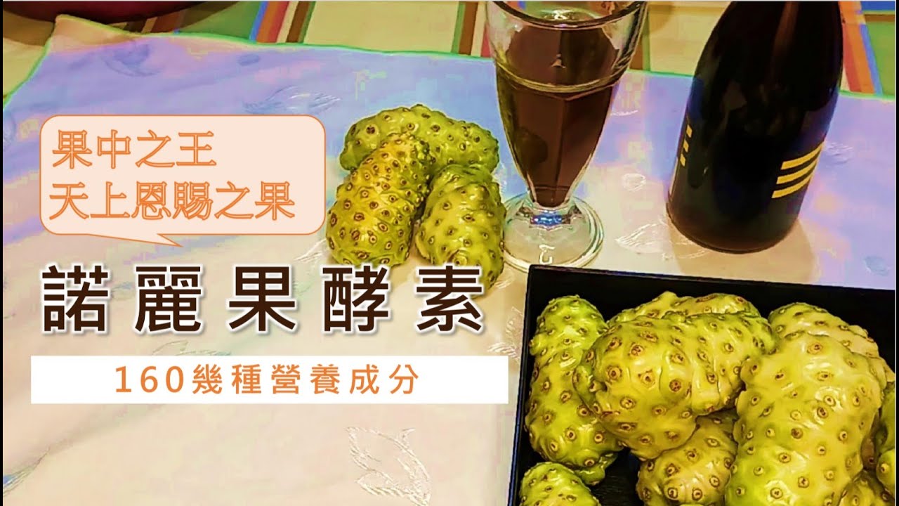 手把手教您做會「諾麗果發酵液」感恩節過後，來製作天上恩賜之果，#諾麗果酵素。