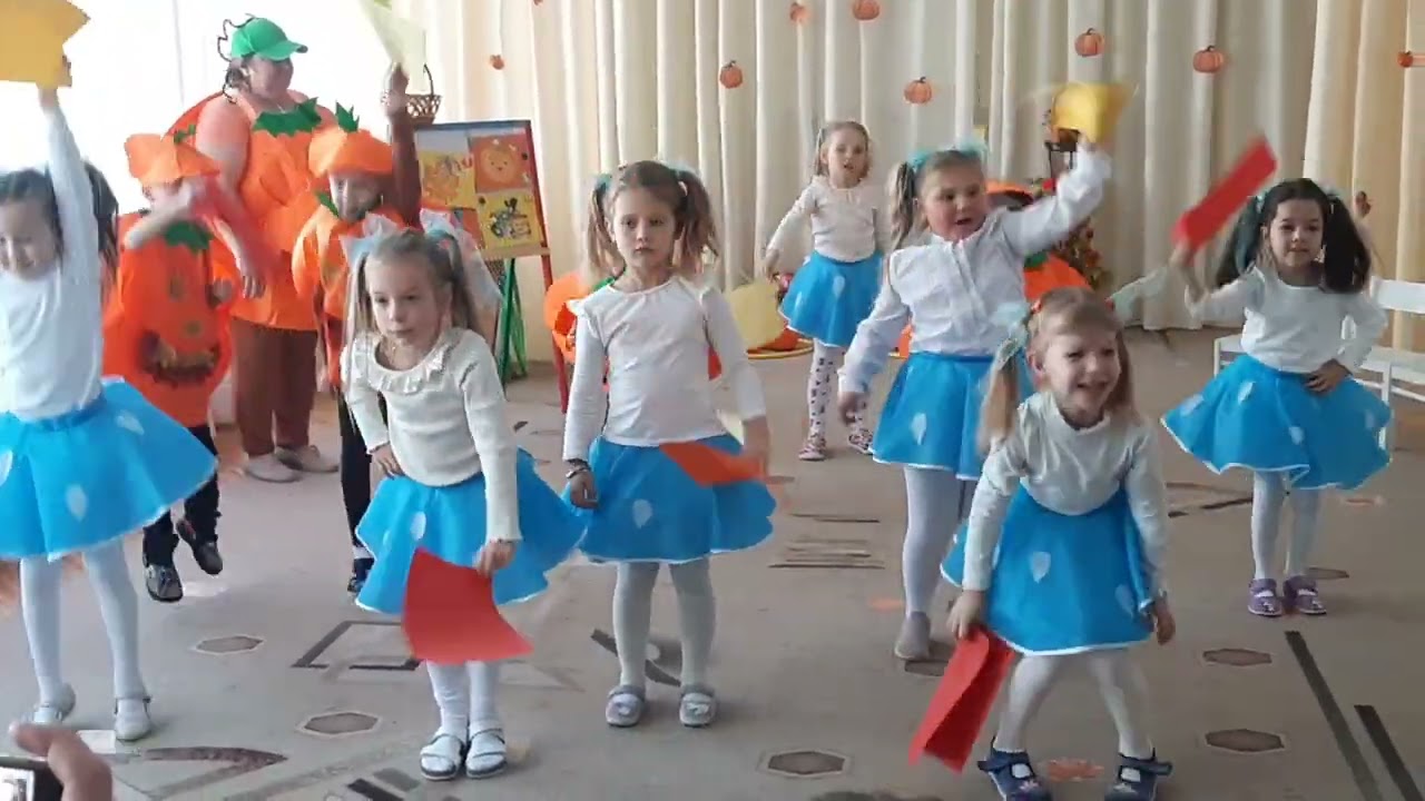 29 октября 2025 г.
