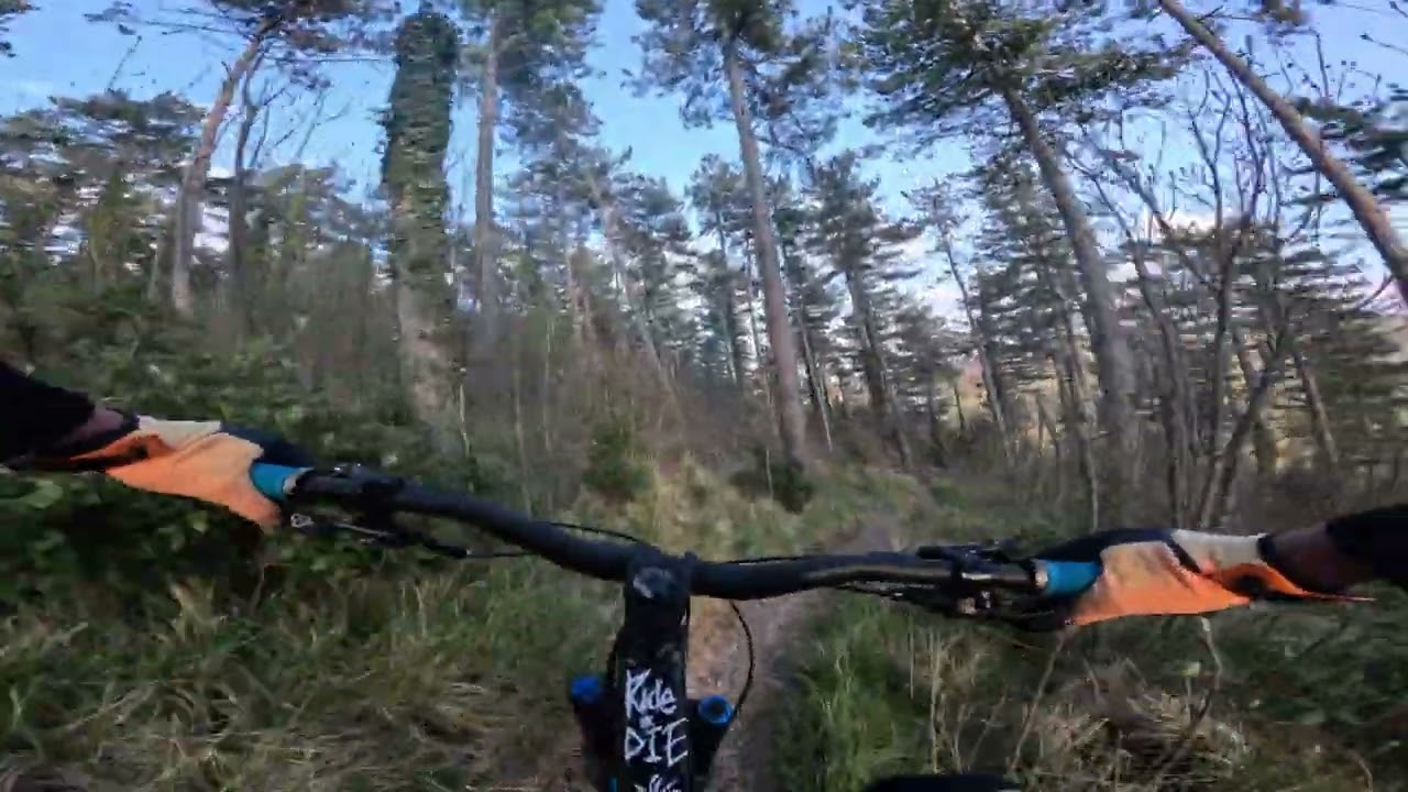 enduro san silvestro