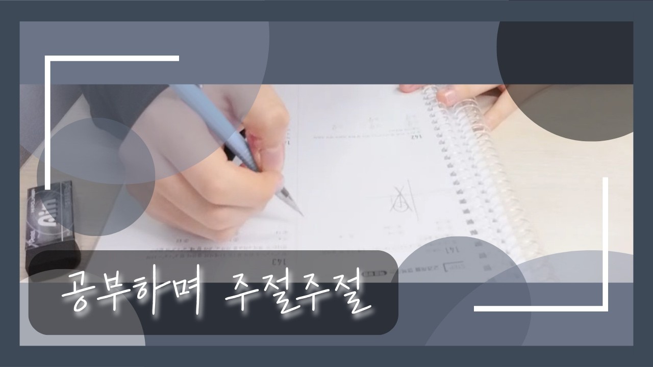 공부 브이로그