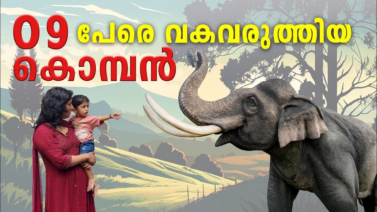 Abhayaranyam Eco-Tourism | Kaprikad Elephant Training Centre | Kaprikad | Malayattoor | Ernakulam