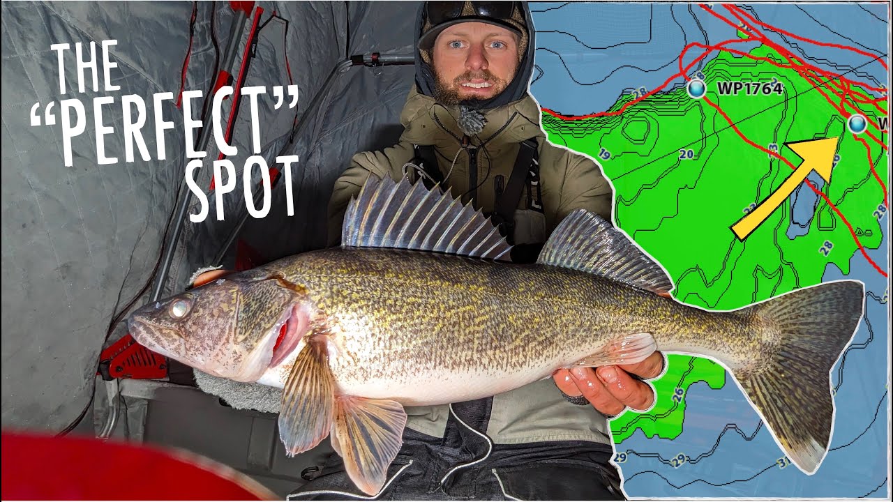SECRET SPOT is LOADED with Walleyes Ice Fishing!