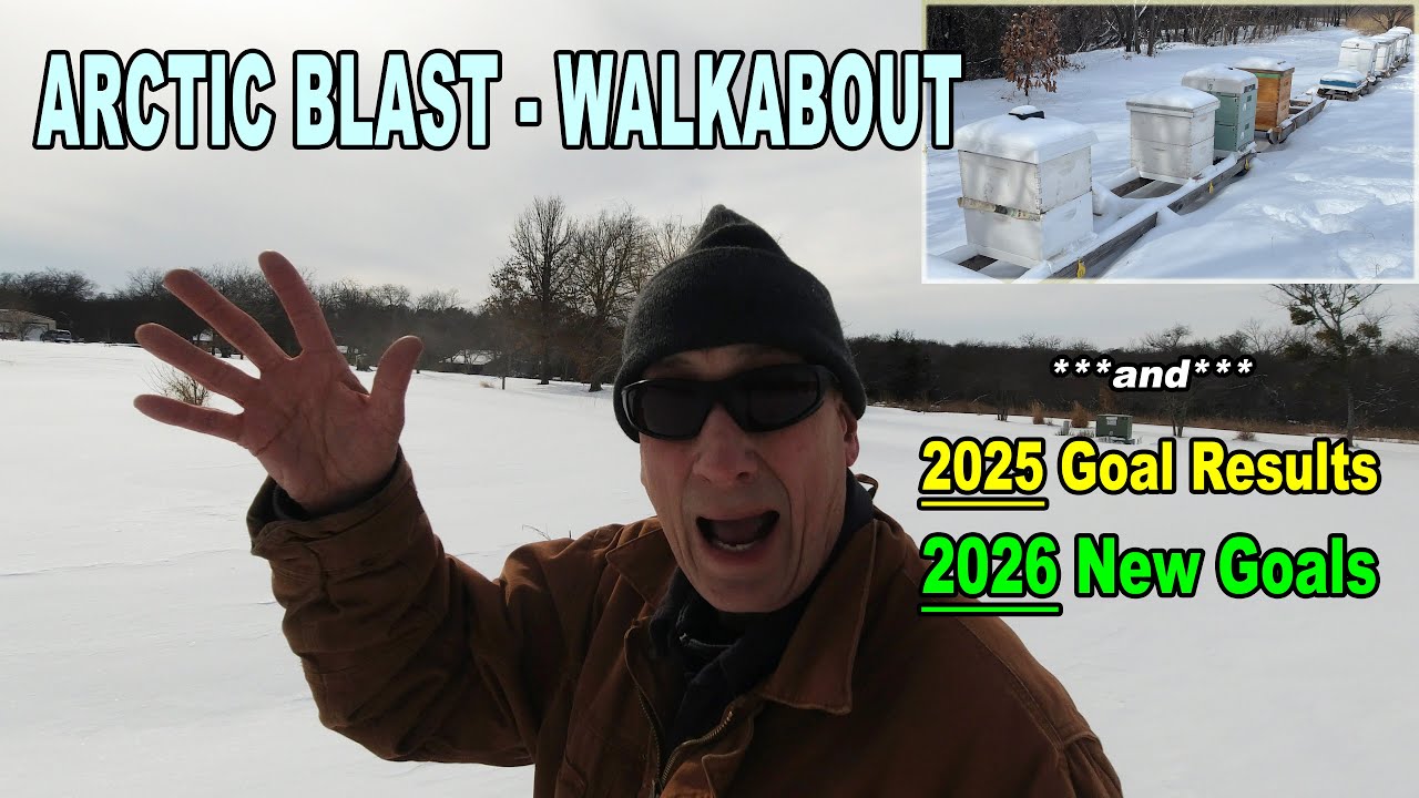 Arctic Blast : Setting 2026 Goals : Reviewing 2025 Goals, S10E8 #beekeeping