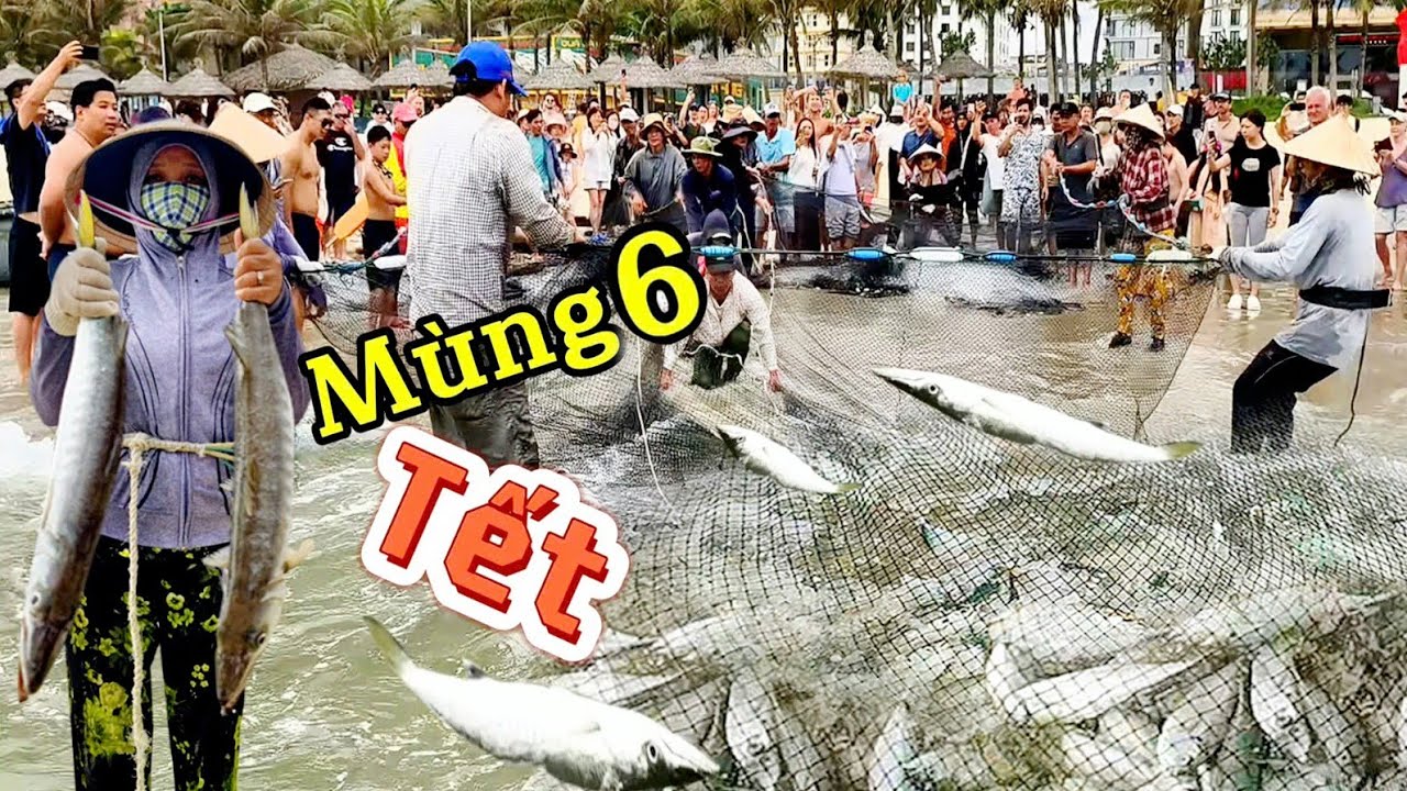 Đầu Xuân Hàng Trăm Du Khách Xuống Biển Tò Mò Xem Ngư Dân Kéo Rùng || Tại Bãi Tắm Mỹ Khê